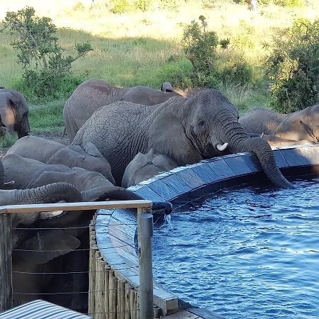 Nambiti Plains Lodge Ледисмит Экстерьер фото