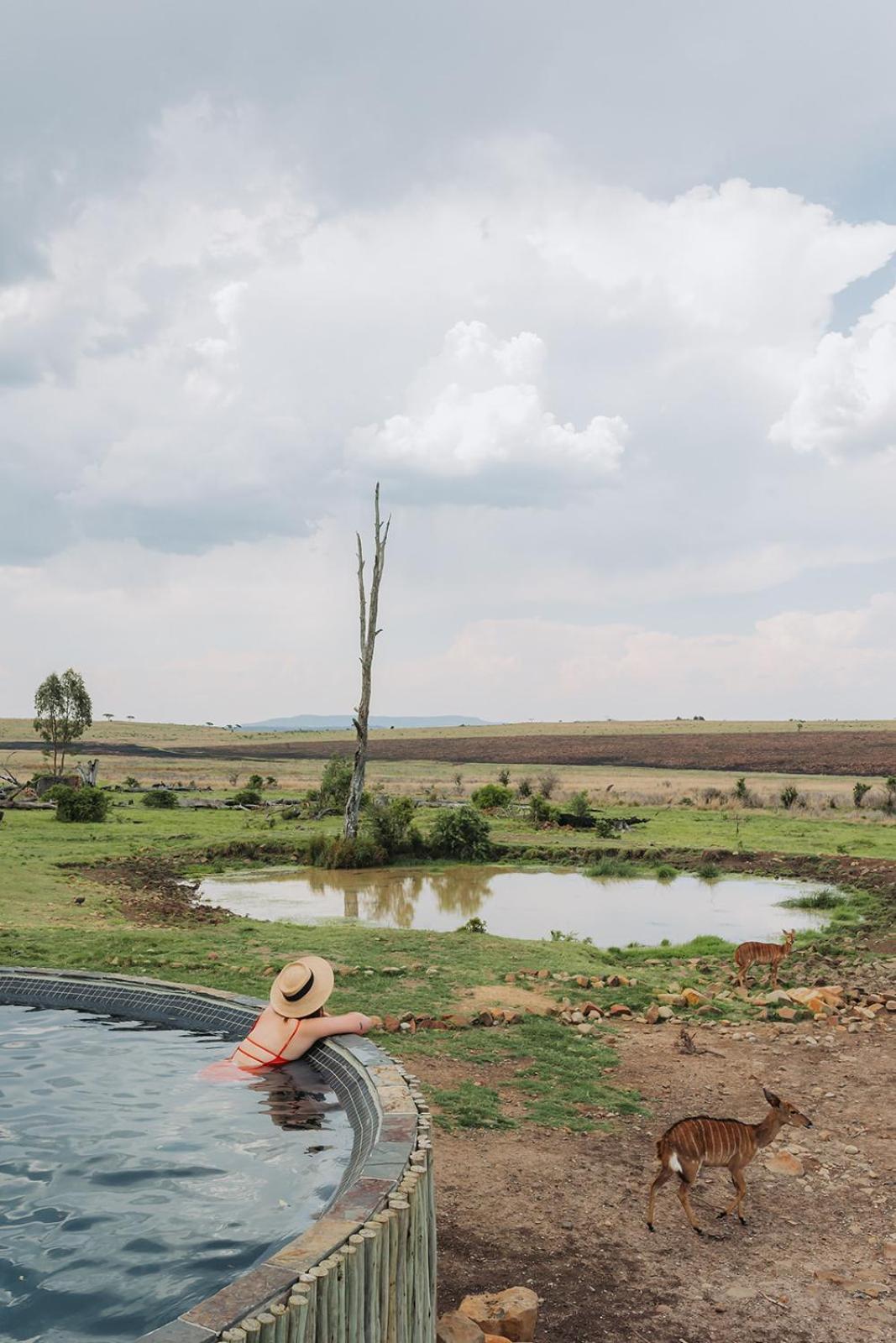 Nambiti Plains Lodge Ледисмит Экстерьер фото