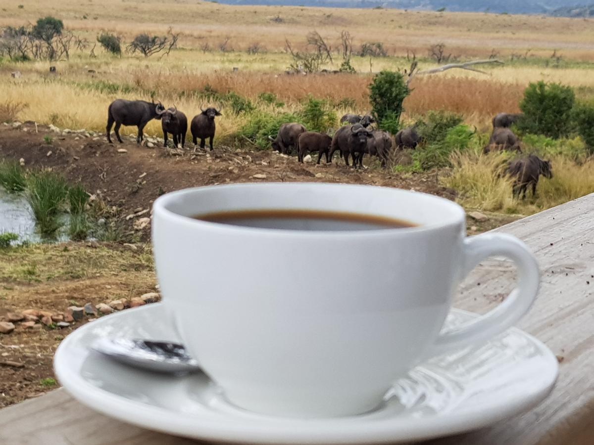 Nambiti Plains Lodge Ледисмит Экстерьер фото